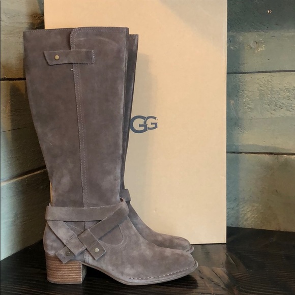 UGG Shoes - UGG Bandara Tall suede Riding Boots